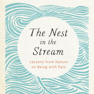 The Nest in the Stream cover art