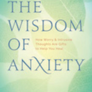 Wisdom of Anxiety book cover