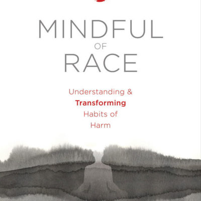 Mindful of Race book cover