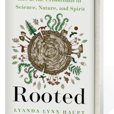 Rooted: Life at the Crossroads of Science, Nature, and Spirit By Lyanda Lynn Haupt