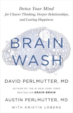 Brain Wash book cover