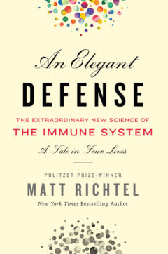 An Elegant Defense book cover