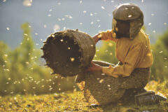 A still from the movie Honeyland