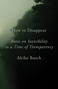 How to Disappear book cover