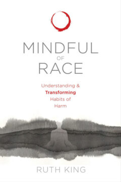 Mindful of Race book cover