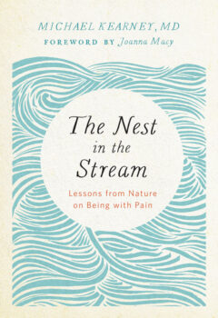 The Nest in the Stream cover art