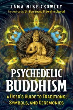 Psychedelic Buddhism by Lana Mike Crowley