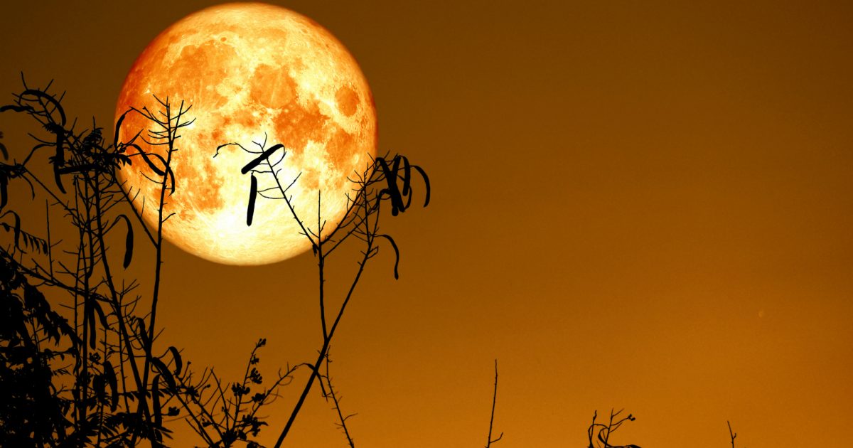 An Autumn Harvest Moon Ritual Spirituality+Health