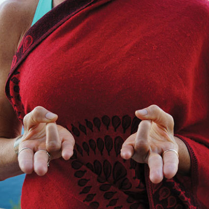 3 Fea Shiva Surya Prana Mudra Credit Demetri Velisarius Xts