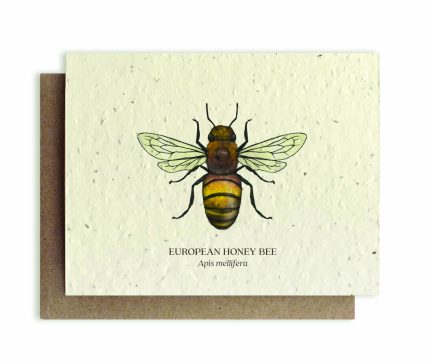 4 Honey Bee Plantable Card
