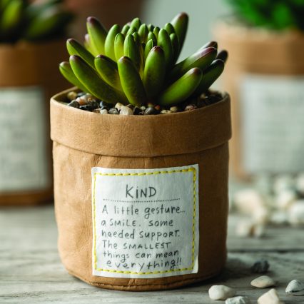 5 Kindness Plant