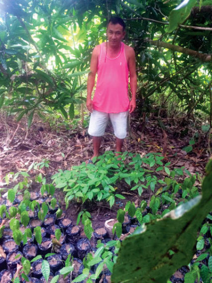 Don Sandro With His Cacao Seedlings Photo Credit Nancy M  Dammann For Vasi