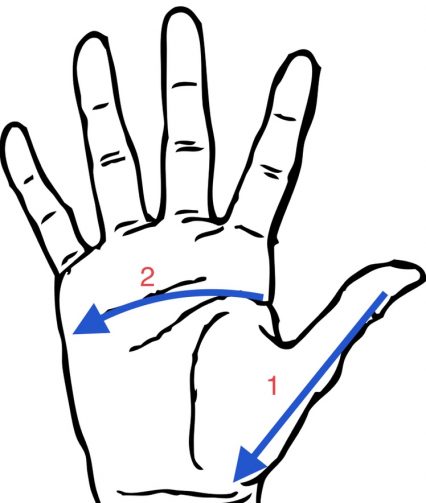 Reflexology points for the waxing moon on the right hand palm