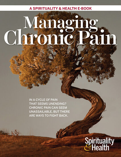 SH Chronic Pain L Msm