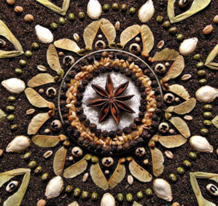 Seed Mandala Ana Castilho