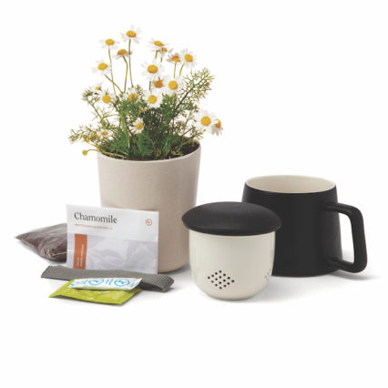 Self Care Chamomile Set