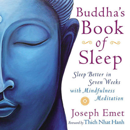 Tool Buddhas Book Of Sleep Cover Art Lg