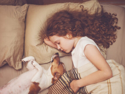 Girl And Jack Russell Sleeping In Bed With Dog