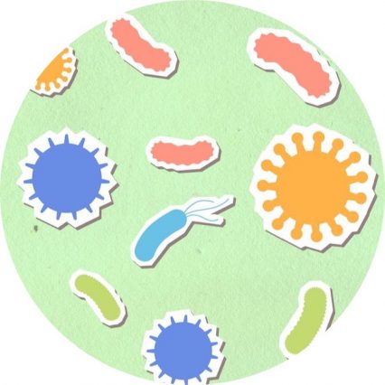 Gut health bacteria gabbyk pexels