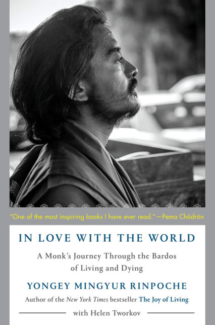 Inlovewiththeworld Bookcover