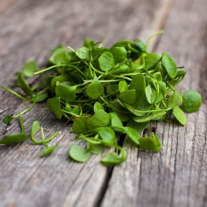 Watercress