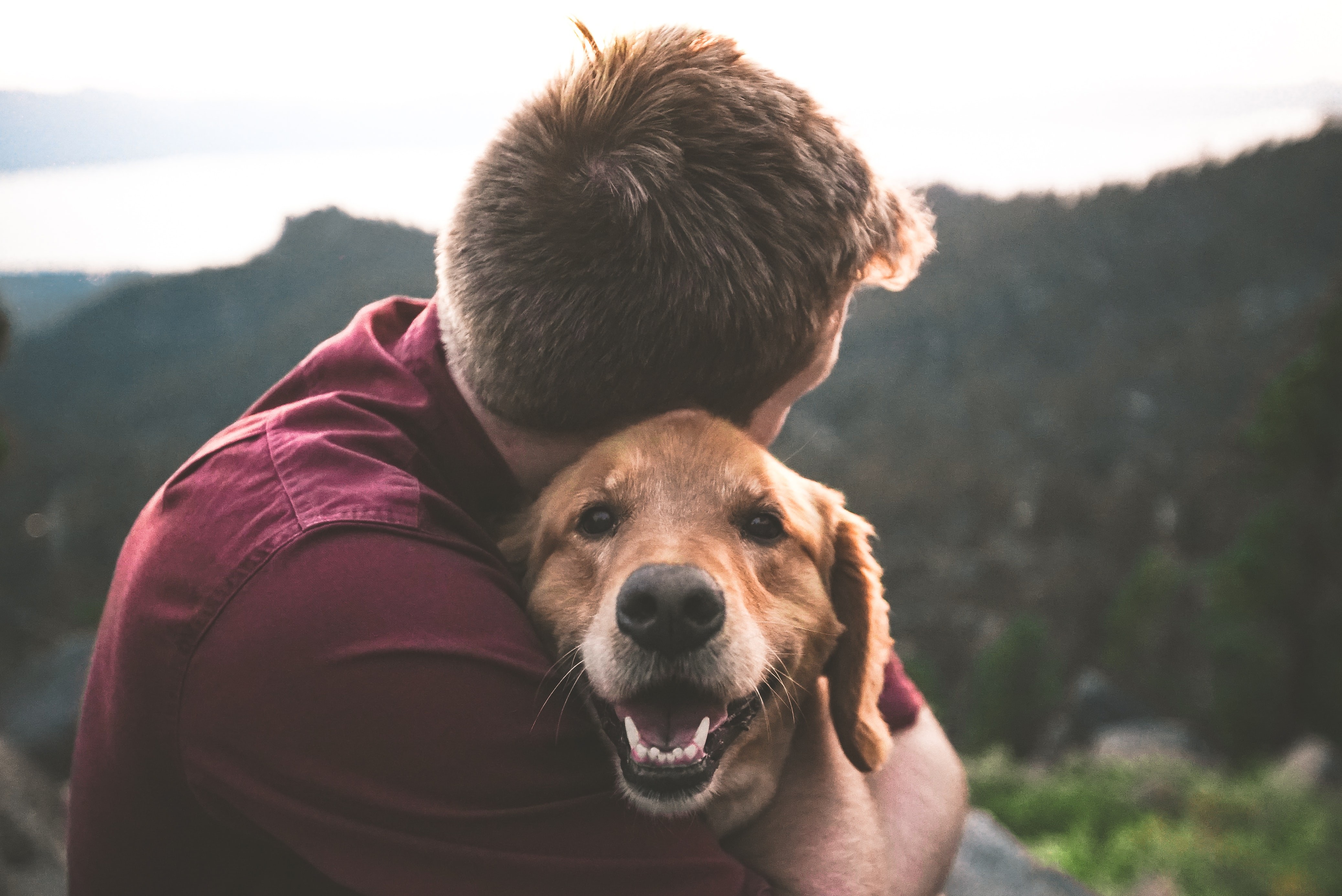 empath and dog