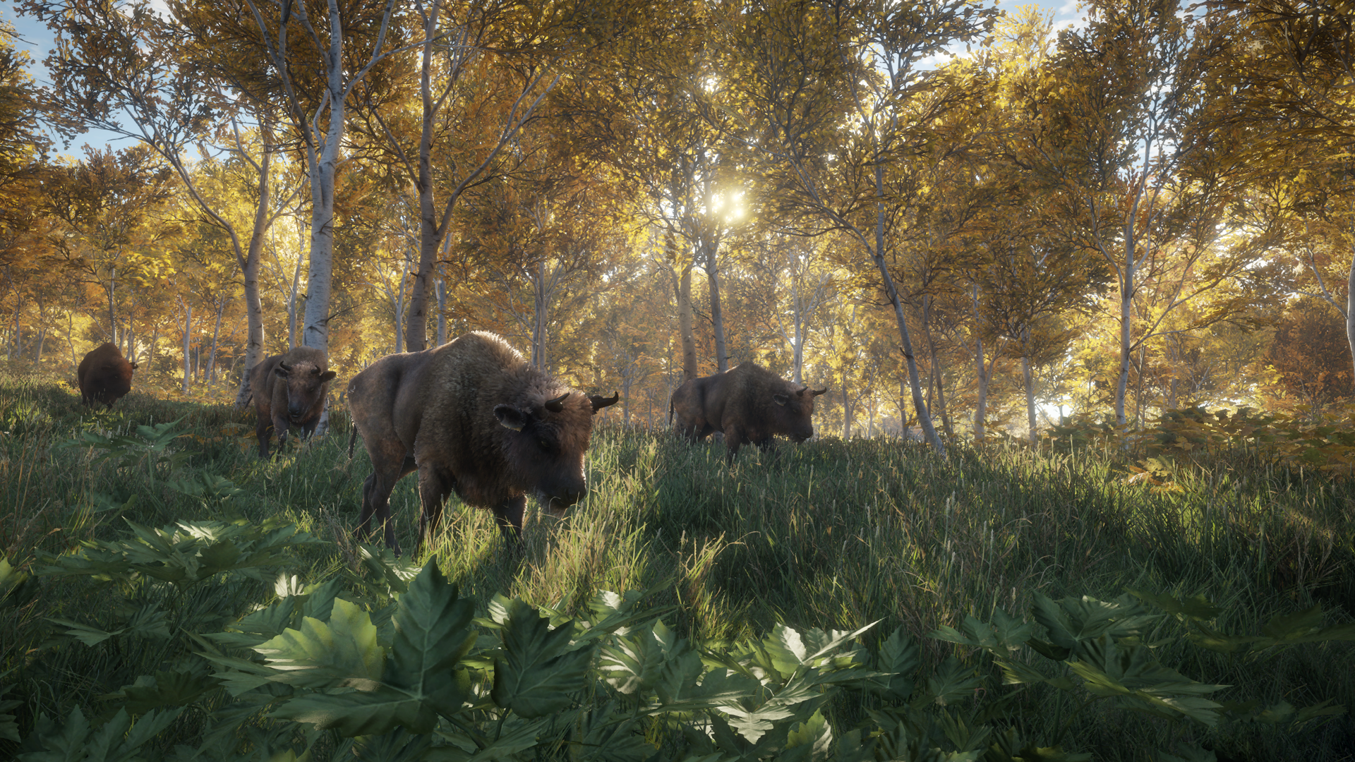 Avalanche Studios oznamují The Hunter: Call of the Wild