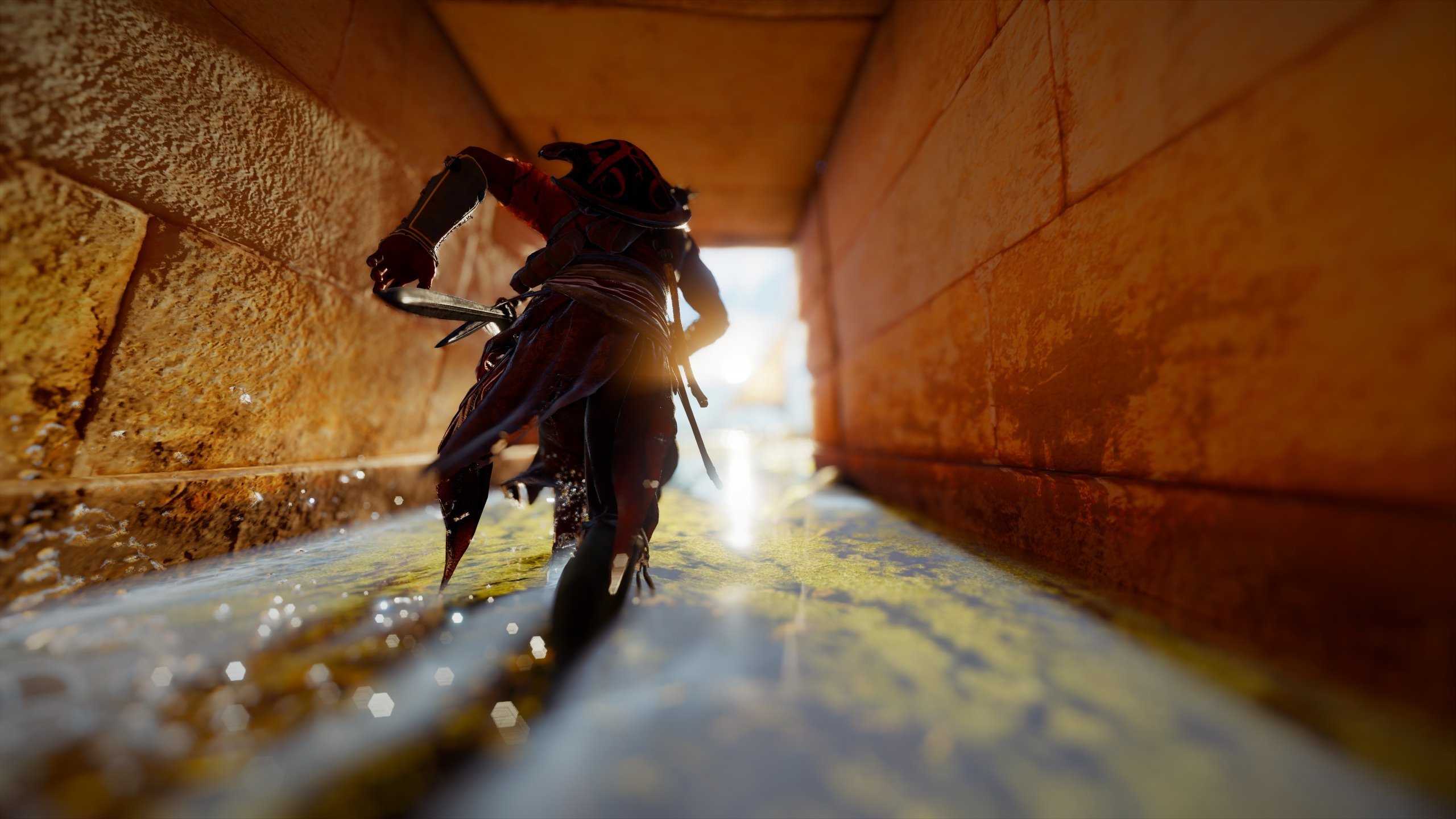 Podívejte na nádherné záběry z Assassin's Creed: Origins, které pořídili sami hráči