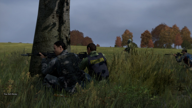 Podívejte na první screeny ALPHA verze Dayz: Standalone