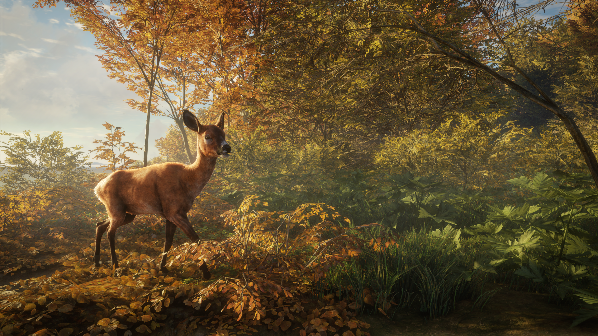 Avalanche Studios oznamují The Hunter: Call of the Wild