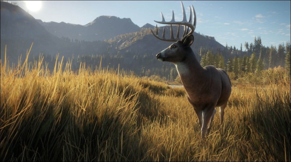 Aktivujte si zdarma theHunter: Call of the Wild