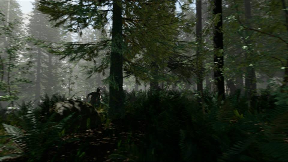 Survival hra The Forest ukazuje nové obrázky ze hry