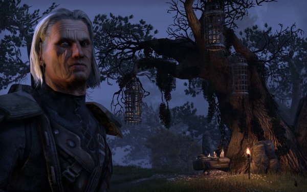 The Elder Scrolls: Online nakonec nebude Free-to-play, budem muset měsíčně platit!