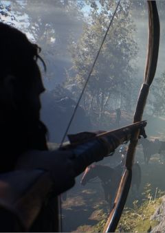 Robin Hood - Sherwood Builders