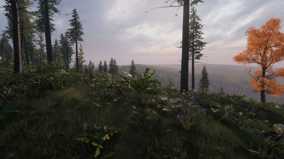 Project Artemis