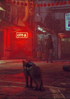 Stray