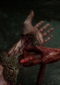 Scorn