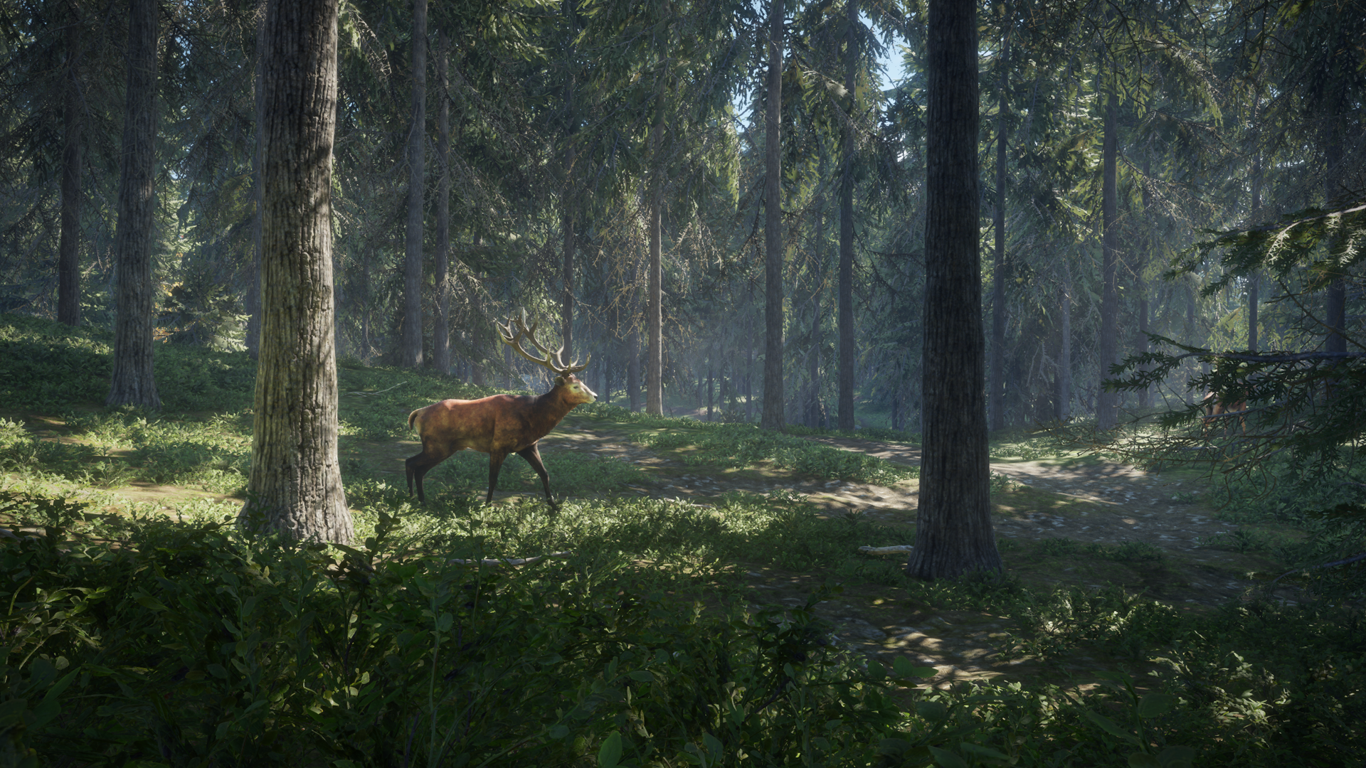 Avalanche Studios oznamují The Hunter: Call of the Wild