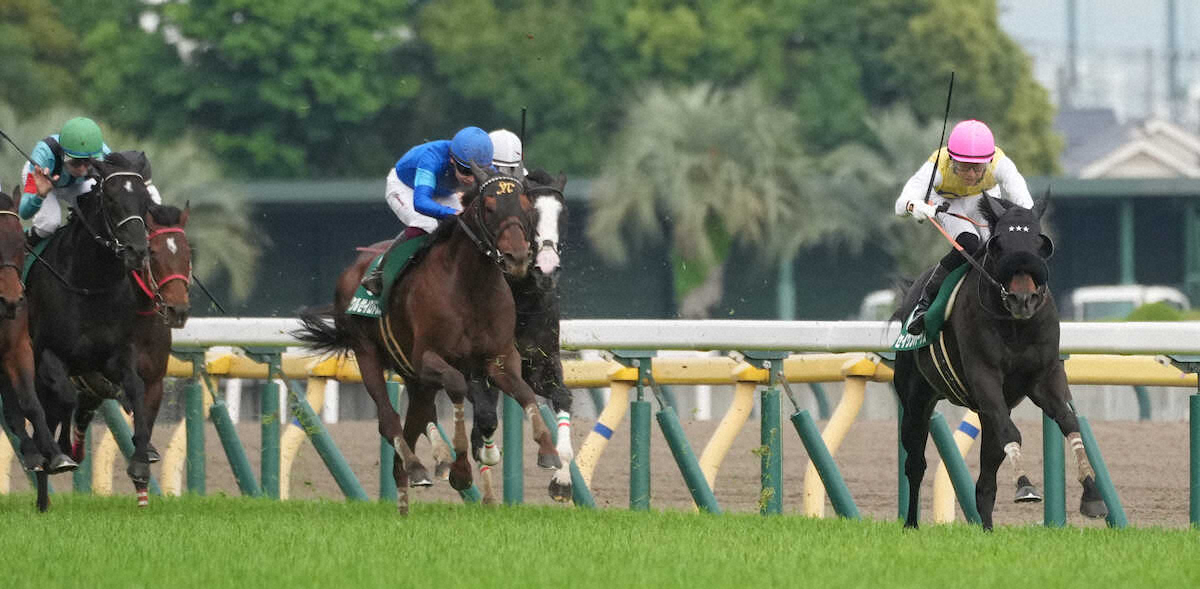 <エプソムカップ>レースを制したセイウンハーデス(右端)(撮影・郡司 修)