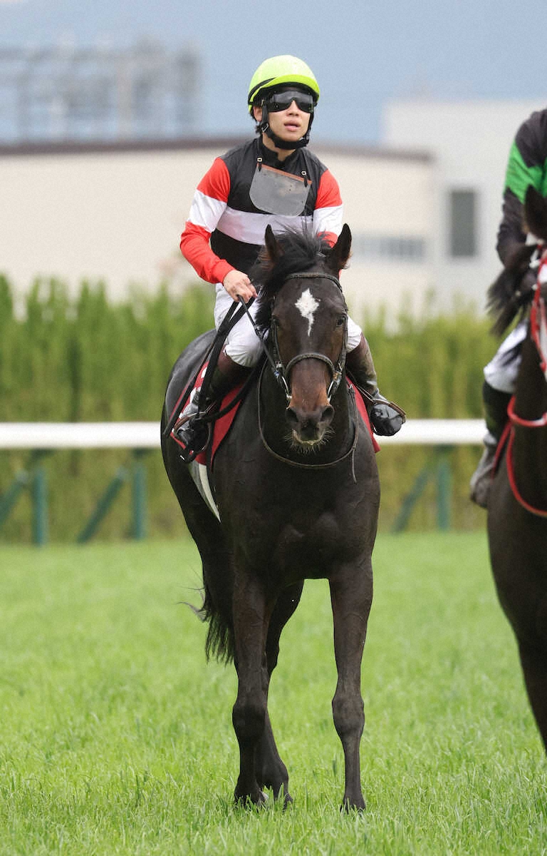 <京都新聞杯>2着のエムズ(撮影・亀井 直樹)