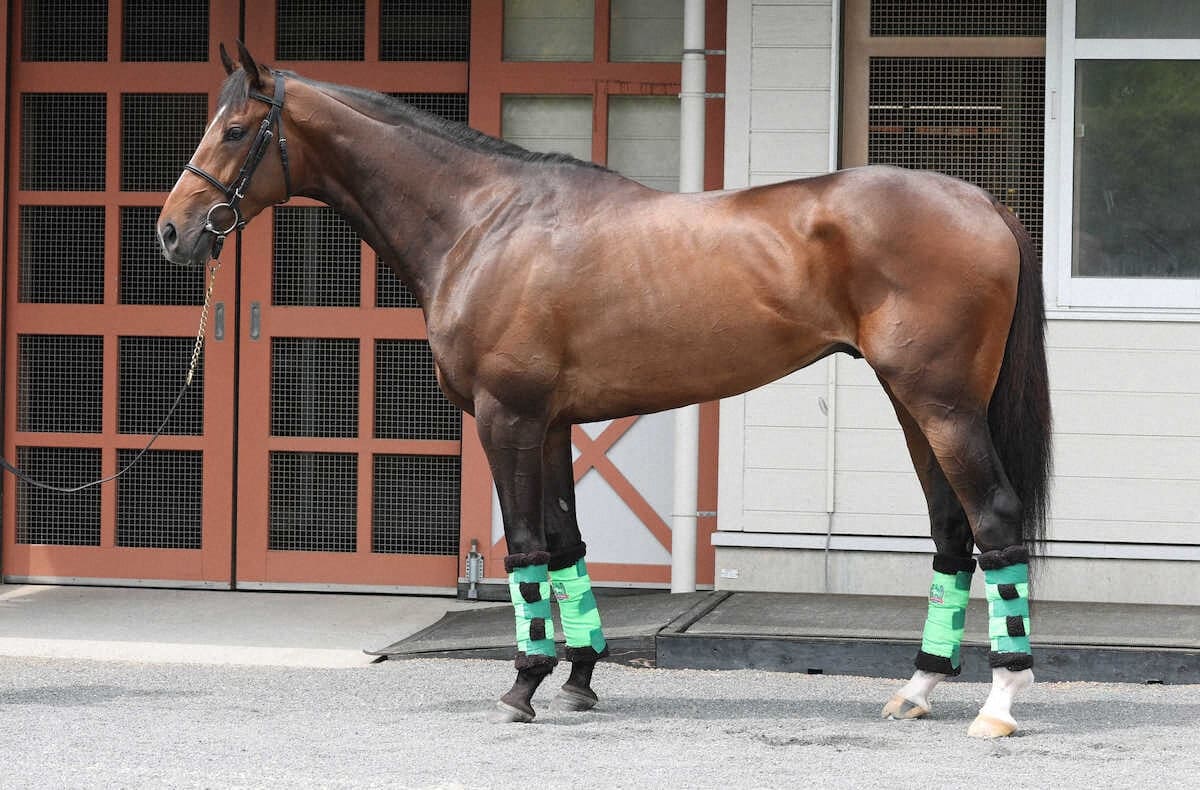 ジョバンニ94点 静かに闘志を燃やす立ち姿