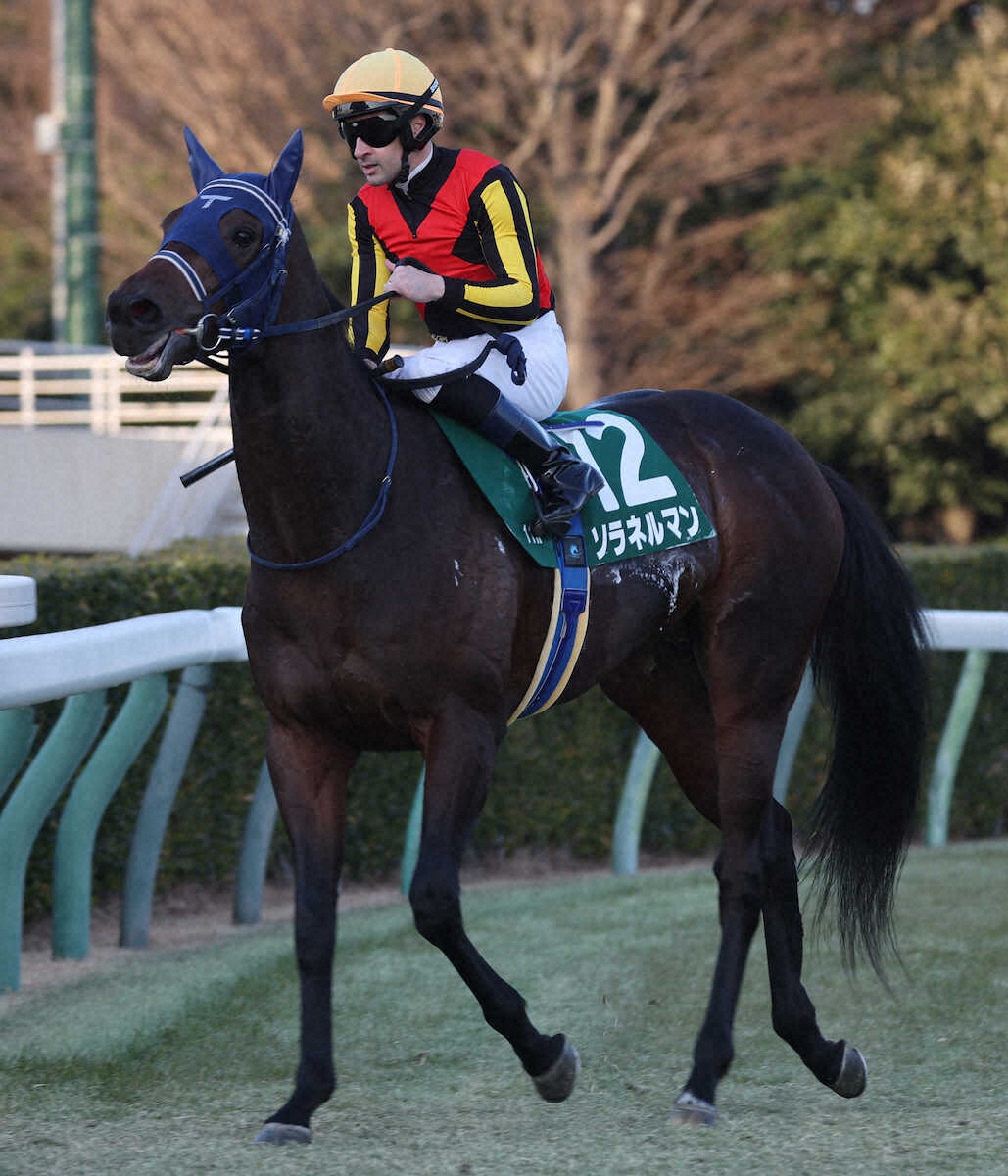 ＜京成杯＞3着に終わったソラネルマン　撮影・村上　大輔
