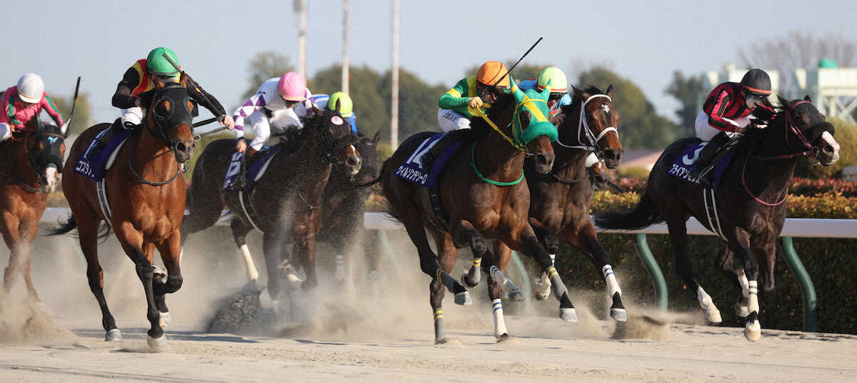 ＜フェブラリーS＞レースを制したコスタノヴァ（左から2頭目）と直線馬群　（撮影・村上　大輔）