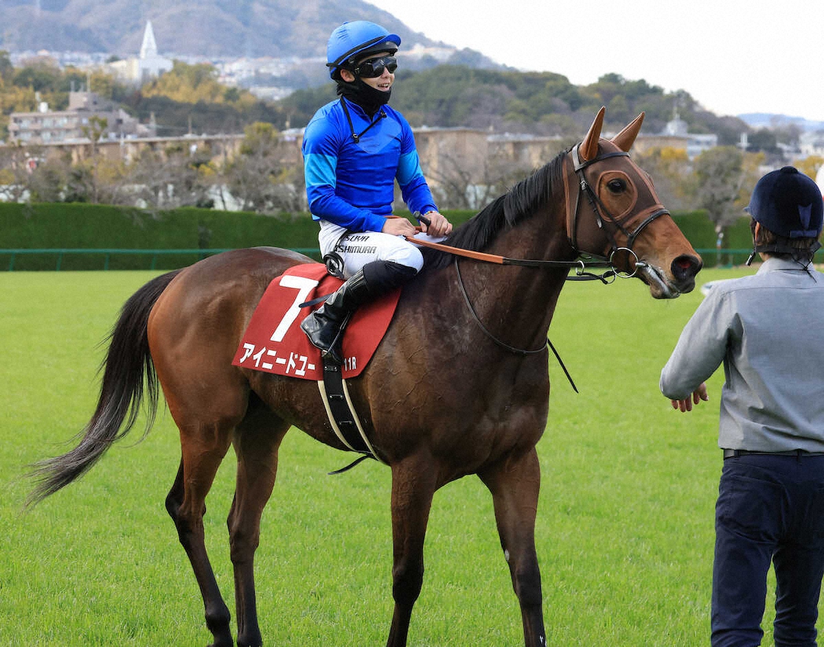 ＜フィリーズR＞フィリーズレビューで3着に入り桜花賞の優先出走権を得たアイニードユー