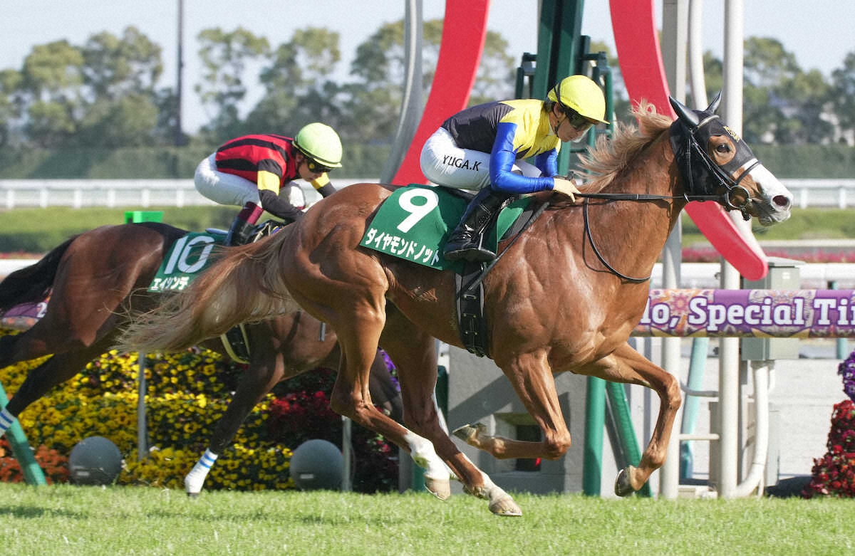 ＜ファルコンS＞レースを制したダイヤモンドノット（手前）（撮影・郡司　修）