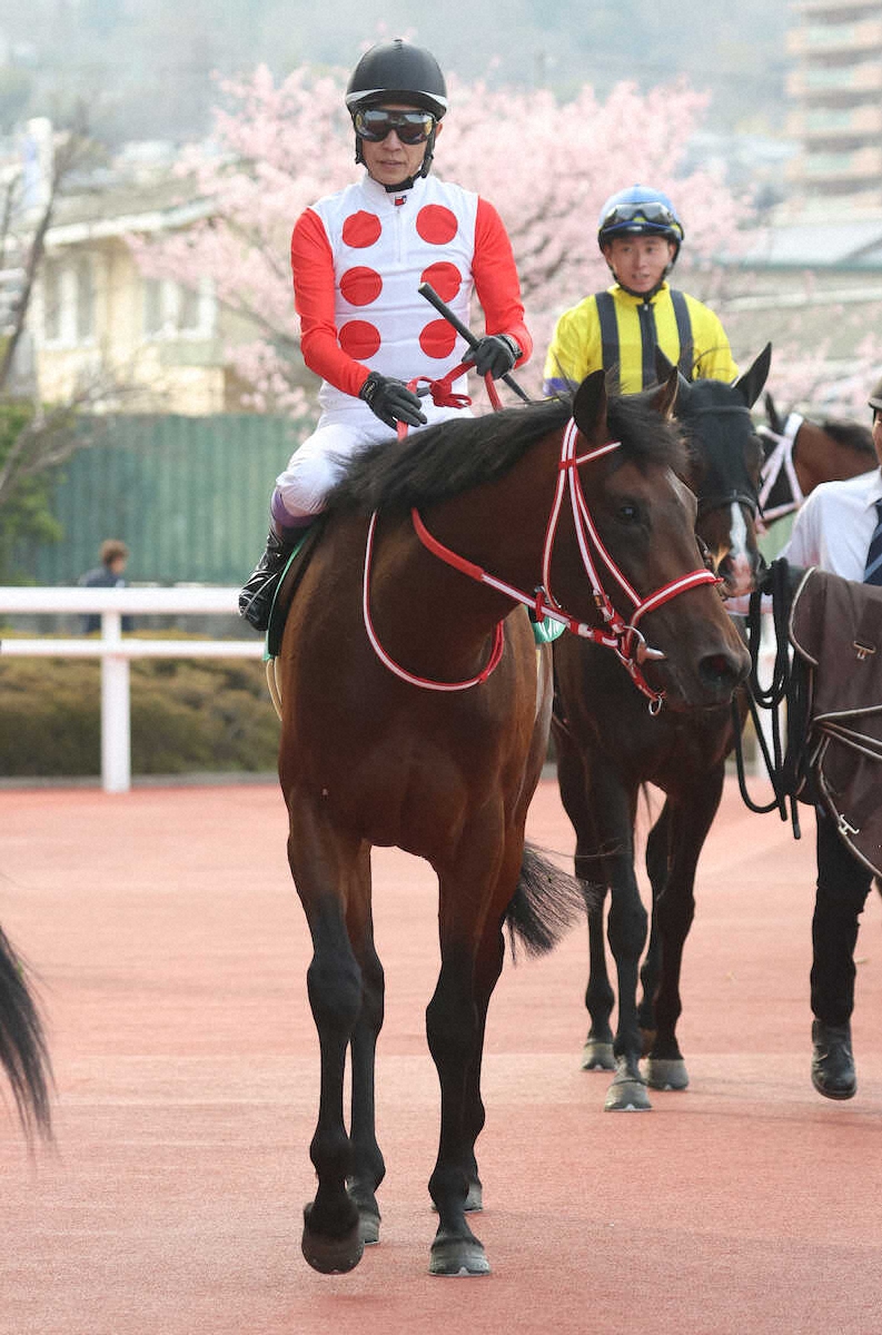 ＜毎日杯＞毎日杯3着のカフジエメンタール（撮影・亀井　直樹）