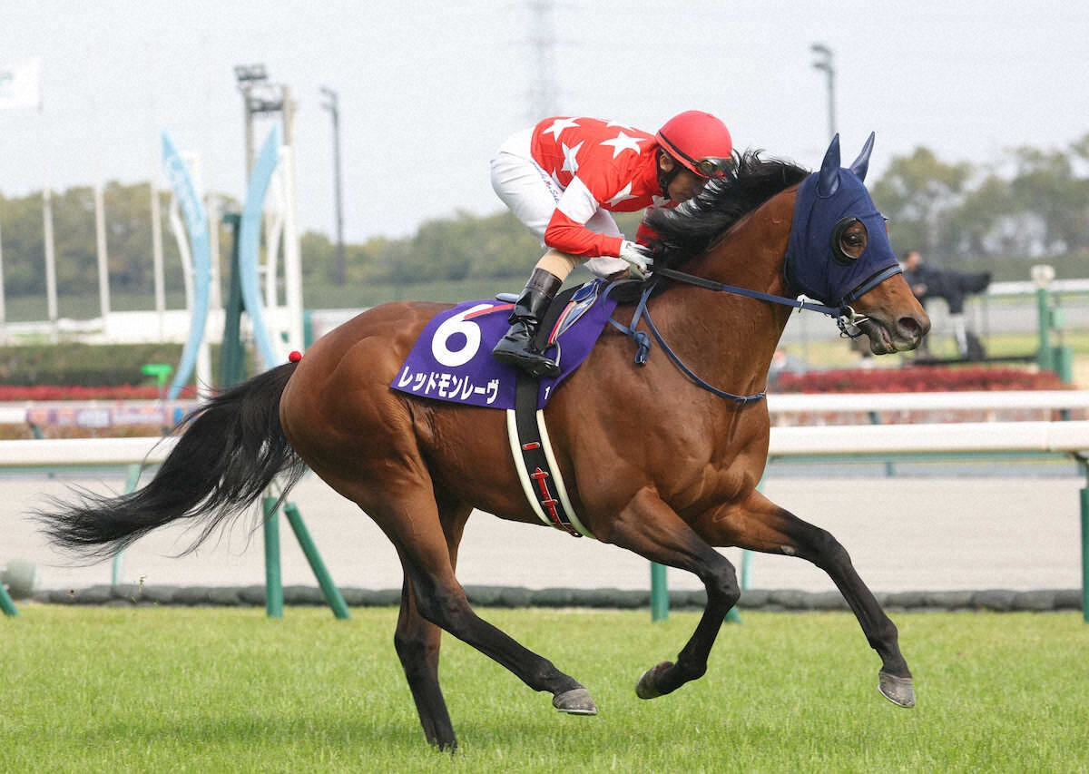 ＜高松宮記念＞2着のレッドモンレーヴ　（撮影・亀井　直樹）