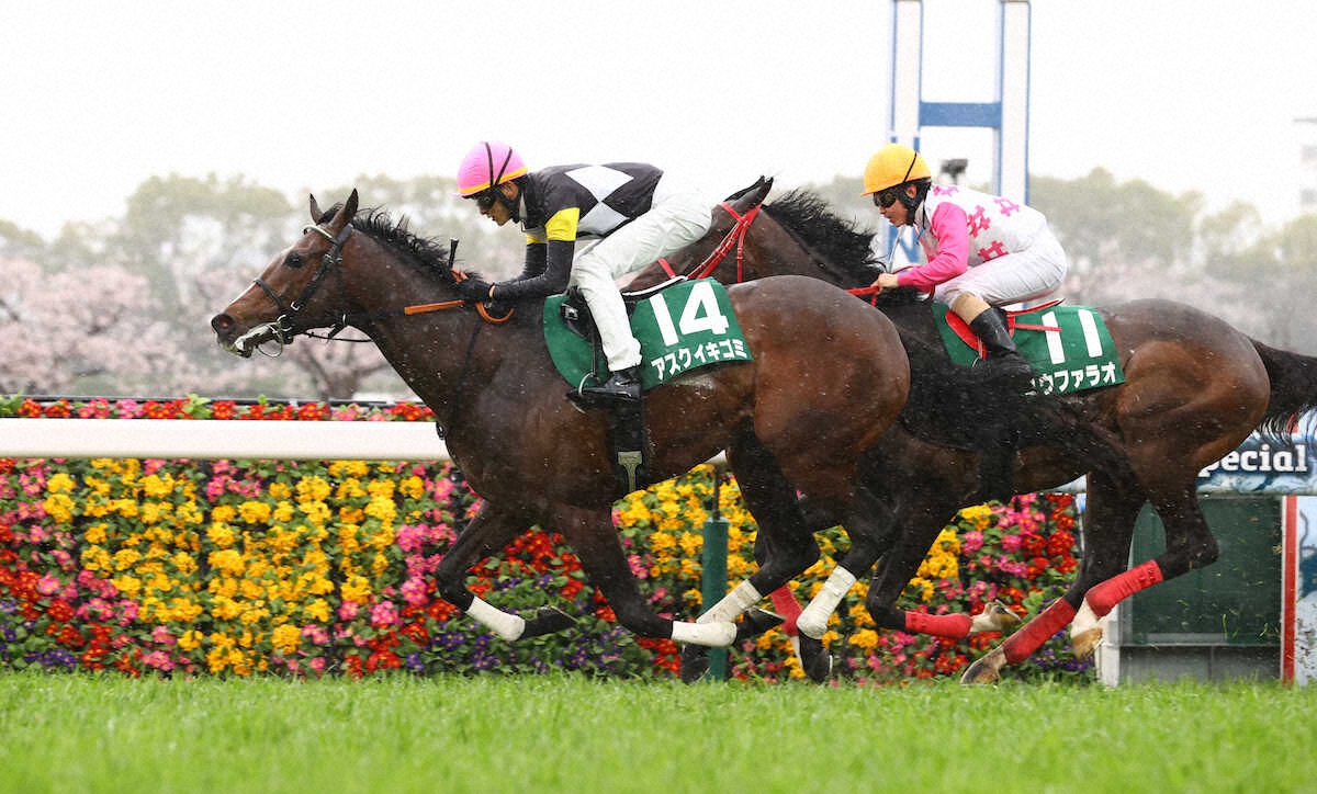 ＜チャーチルダウンズC＞直線で競り合い、1着でゴールしたアスクイキゴミ（左）（撮影・岸　良祐）