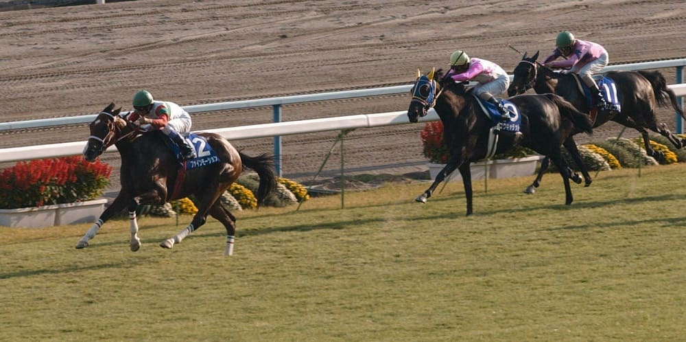 写真会議室 - スポニチ競馬Web