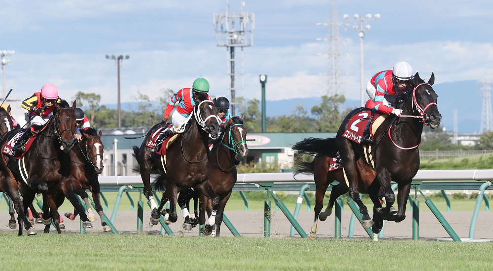 秋初戦となった神戸新聞杯も完勝